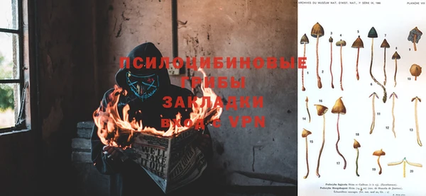 мескалин Осташков