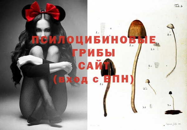стаф Остров