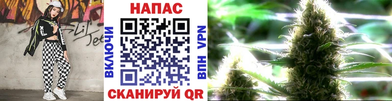 Бошки марихуана планчик  Ртищево 